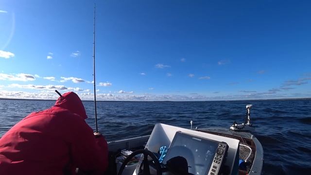 С Active Target на оз. Нарочь. В поисках крупной щуки. смотреть онлайн