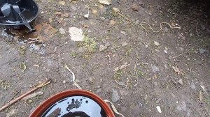 Мтз 82.1 то 720 моточасов.