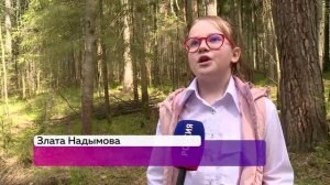 ⛵КАМСКИЕ ПАРУСА