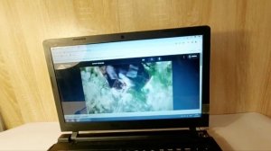 Ноутбук Lenovo B50-10