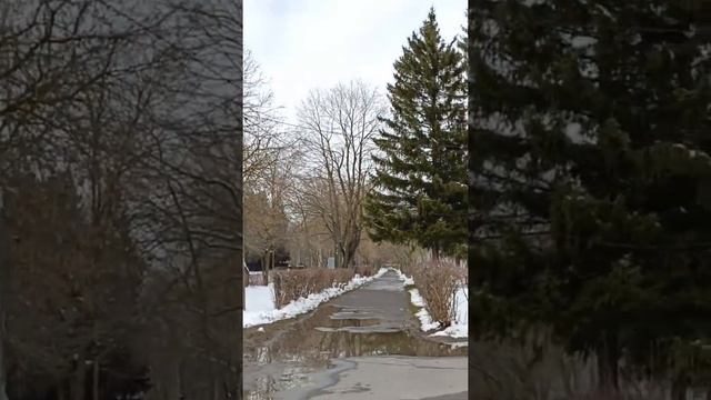 Коломенский городской округ посёлок Радужный и не тол