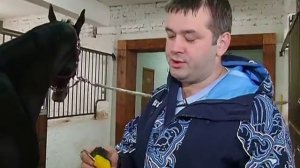 Чем занимается коневод.