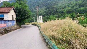 Китайская Деревня:Скрытые камеры и жизнь на фоне Удив?