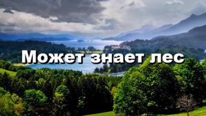 Может знает лес Исполняют Николай Расторгуев и Наталья Княжинская.