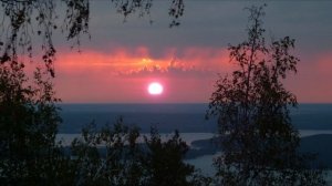 Фото Сиднёва 2021 г