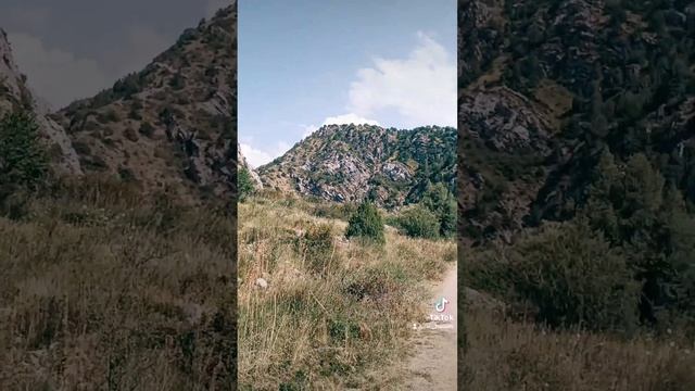 Төлеби ауданы Балдыберек ауылында орналасқан Ақсу Жа?