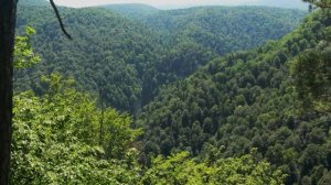 Старая Мезмайская дорога