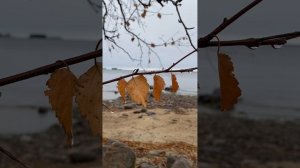 Осенью в Карелии