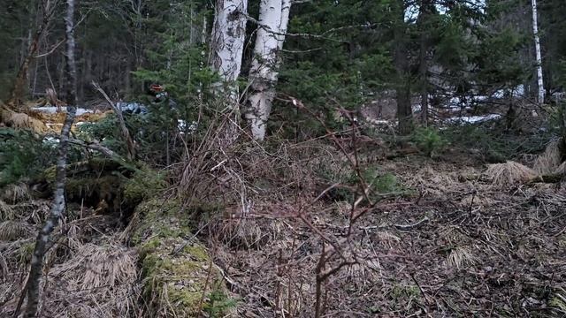 #Квадро/вылазака в тайгу. Майские следопыты. часть 2. смотреть онлайн