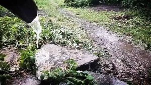 Всемирный потоп по версии Яндекс-погода