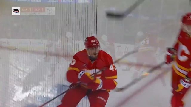 Калгари Флэймз - Анахайм Дакс НХЛ Регулярный сезон 24/25 смотреть онлайн