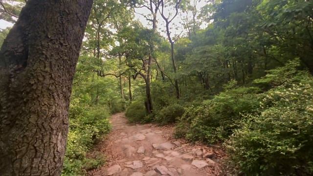 Покоряем вершину горы Bukhansan 🏔️ смотреть онлайн