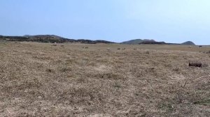 Мыс Крильон. Остров Сахалин. 2025 год.