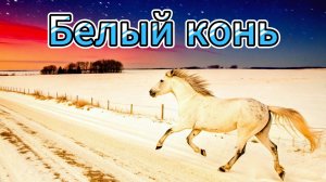 "БЕЛЫЙ КОНЬ" (Кавер)