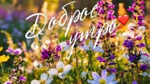 Открытка с добрым утром понедельника – зарядитесь энергией на весь день! ⚡#пожеланиянакаждыйдень