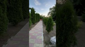 video-output-4B9FD413-F023-4871-BEBD-BAE17057C8AF-1