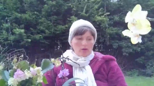 М 32, Ж 31.  ХОДЯТ В ГОСТИ НА ШАШЛЫКИ КАЖДУЮ СУББОТУ 2-3 ГОД?