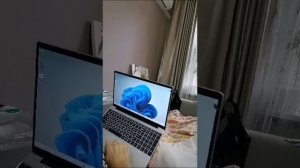 Подарок на день рождение. Ноутбук с Озона. Распаковка.