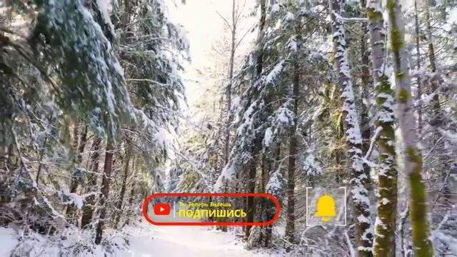 1 Февраля День Макария. Почему нельзя пить чай самому и