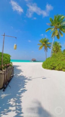 Мальдивы - земной рай ❤🌴