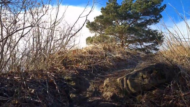 Кисловодск/Прогулка до Малого седла/1 часть/24.02.2024 год. смотреть онлайн