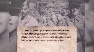 «У них был трагичный конец!» Ветеран-десантник РККА рассказал о боях в Европе