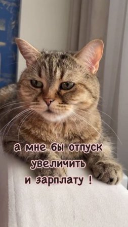 А вы что увеличили?