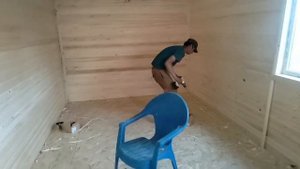 video_2025-05-26_09-49-30