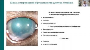 Прямой эфир по разбору клинических случаев офтальмол?