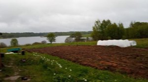 Дом у озера. Посадки начались. 26 мая 2025 года.