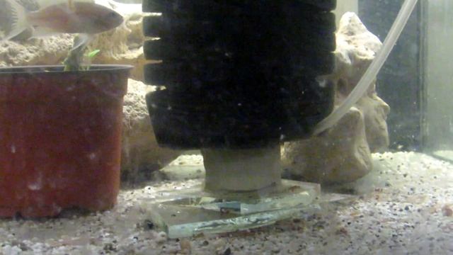 звезды озера Танганьика смотреть онлайн