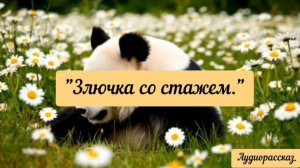 Как одной старушке чайник помог. Вместо тысячи бранных слов.