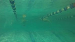 Техника плавания в моноласте