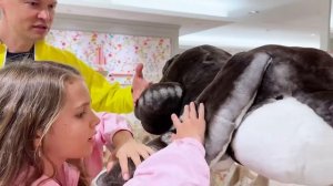 Мистер Макс Выиграли iPhone 16