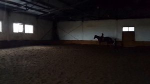 Великая наездница будущего конного спорта