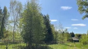 Pogoda v Sibiri Живописная природа ,яркий денек