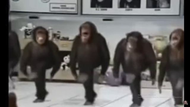 Не для натуралов смотреть онлайн