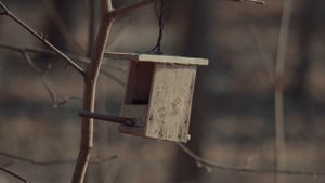 Крутой бюджетный телевик Объектив Sony 55 - 210  🔥