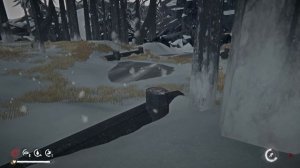The Long Dark20
