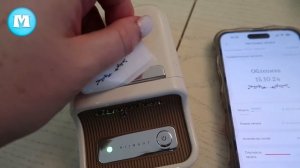 🌿Мини термопринтер для бизнеса и для дома Niimbot B21 Pro ра