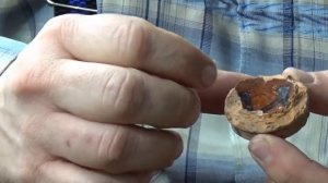 Королевская игральная фишка с раскопа по улице Толсто