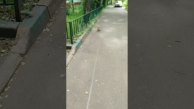 Сеня на позитиве 😁