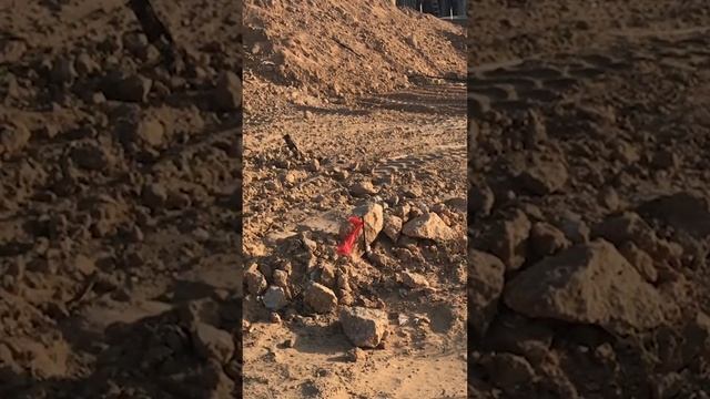 Видосик о чудесах! негев пустыня земляобетованная
