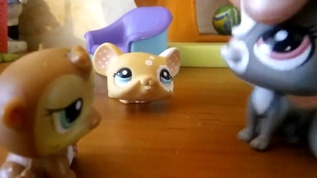 Пиковая дама чёрный обряд серия 1 1 сезон смотреть онлайн