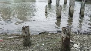 Дон немного обмелел