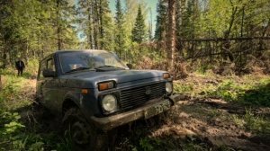 АНОНС.В поисках золотой колбы