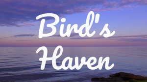 Bird's Haven