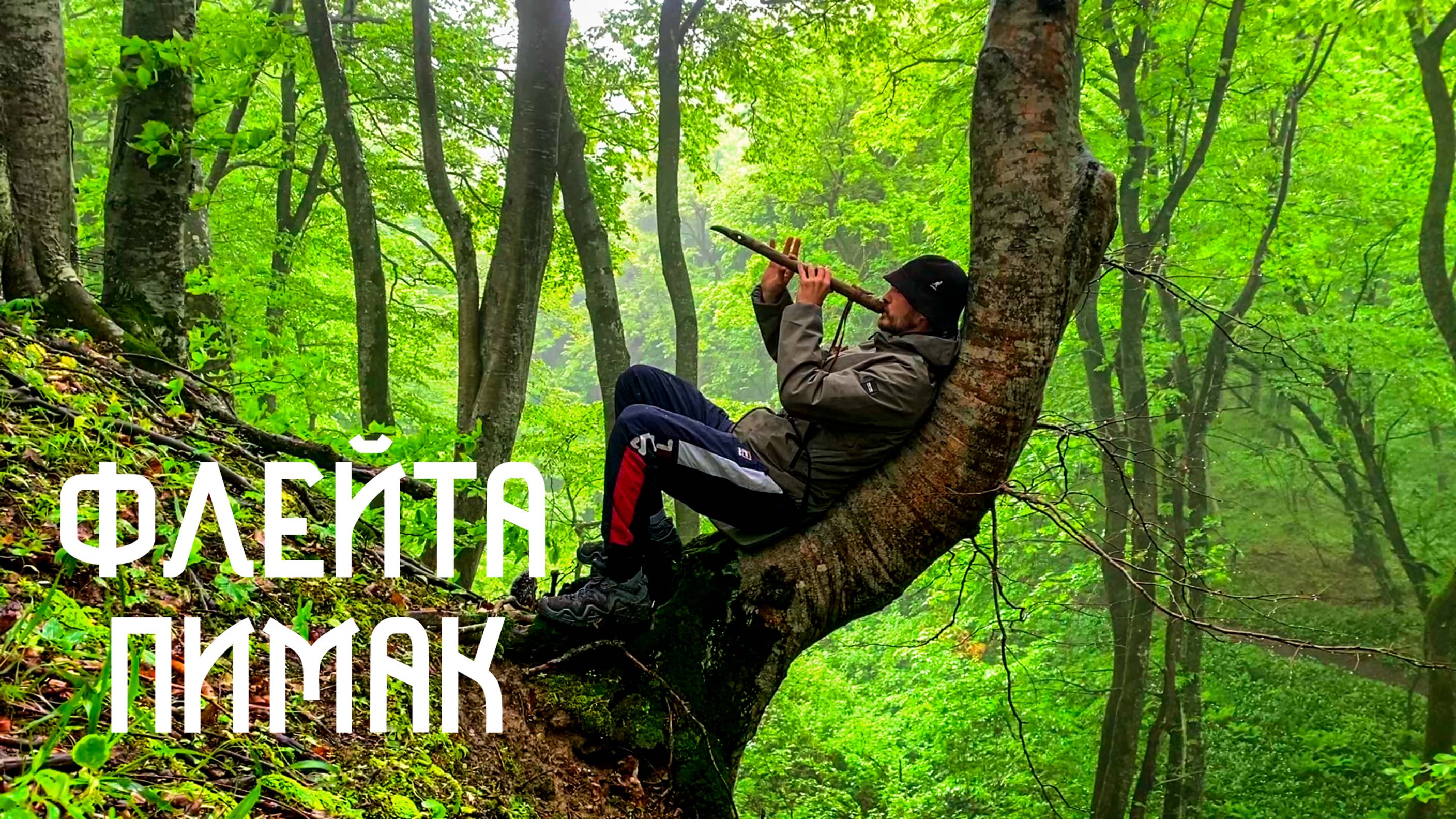 Дождь в Лесу и Флейта Североамериканских Индейцев / Музыка Души