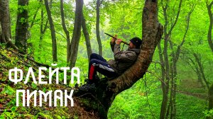 Дождь в Лесу и Флейта Североамериканских Индейцев / Музыка Души