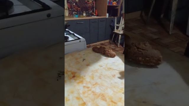 сладкая минутка шиколадная колбаска со сгущёнкой смотреть онлайн